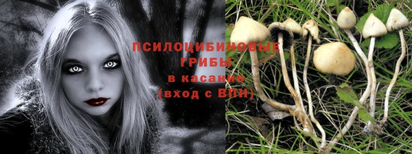 прущие грибы Алексеевка