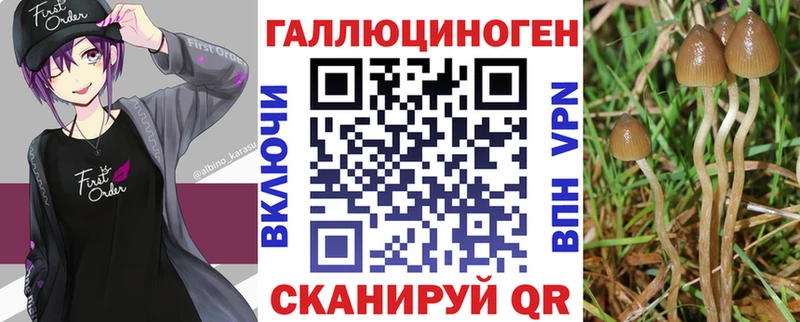 где найти наркотики  MEGA рабочий сайт  Псилоцибиновые грибы Cubensis  Сокол 